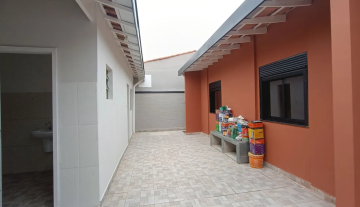 C3635 19.jpg